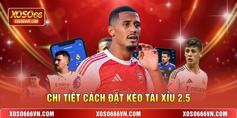 Chi tiết cách đặt kèo tài xỉu 2.5