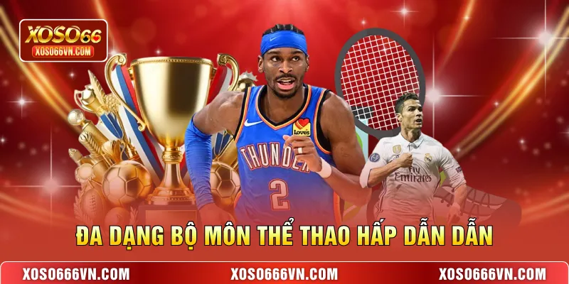 Đa dạng bộ môn thể thao hấp dẫn dẫn