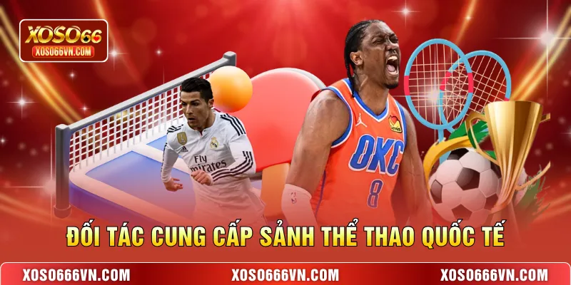 Đối tác cung cấp sảnh thể thao quốc tế