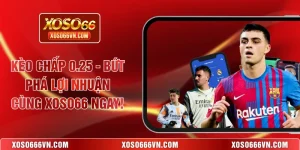 Kèo chấp 0.25