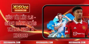 Kèo tài xỉu 2.5