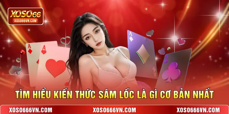 Tìm hiểu kiến thức Sâm Lốc là gì cơ bản nhất